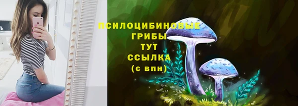тгк Алексин