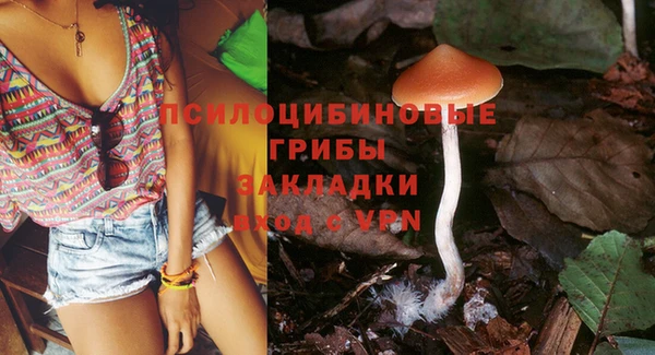 СК Алексеевка