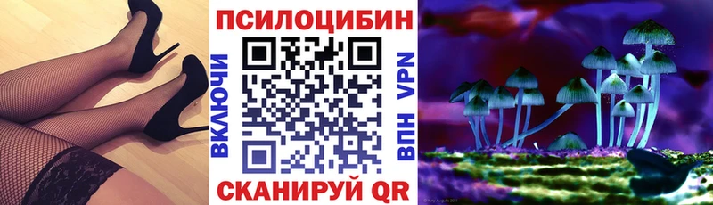 Псилоцибиновые грибы Cubensis купить мориарти Telegram Заполярный